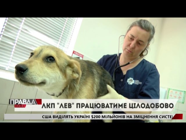 ЛКП «Лев» працюватиме цілодобово