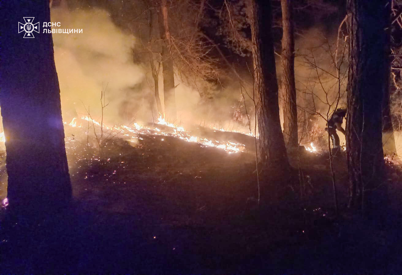 На Львівщині чоловік ледь не загинув страшною смертю (фото)