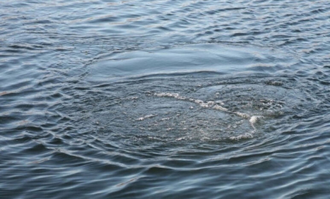 На Львівщині у річці виявили тіло жінки