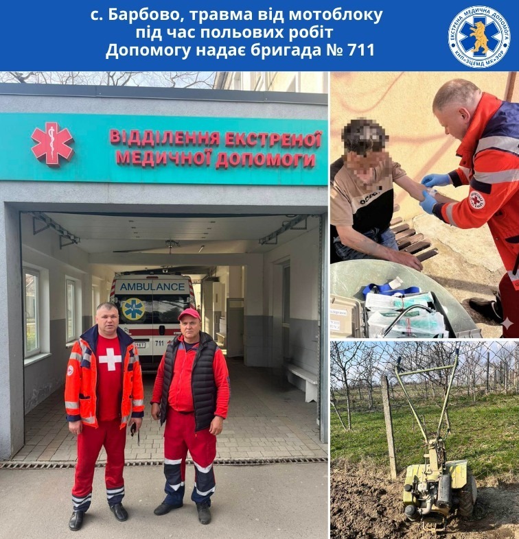 На Закарпатті чоловік ледь не загинув, працюючи на городі