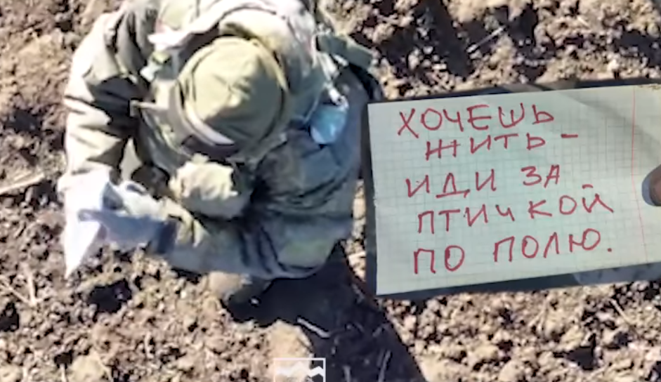 Іди за "пташкою". "Едельвейси" показали, як взяли росіянина в полон з допомогою дрона