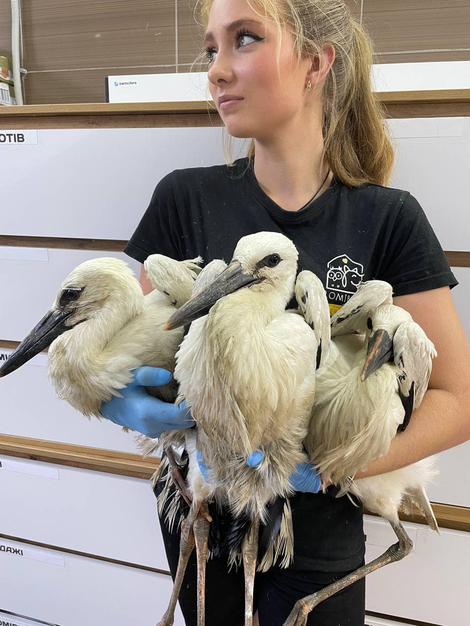 Врятоване майбутнє: під час пожежі біля Львова визволили зі зруйнованого гнізда лелеченят. Фото дня