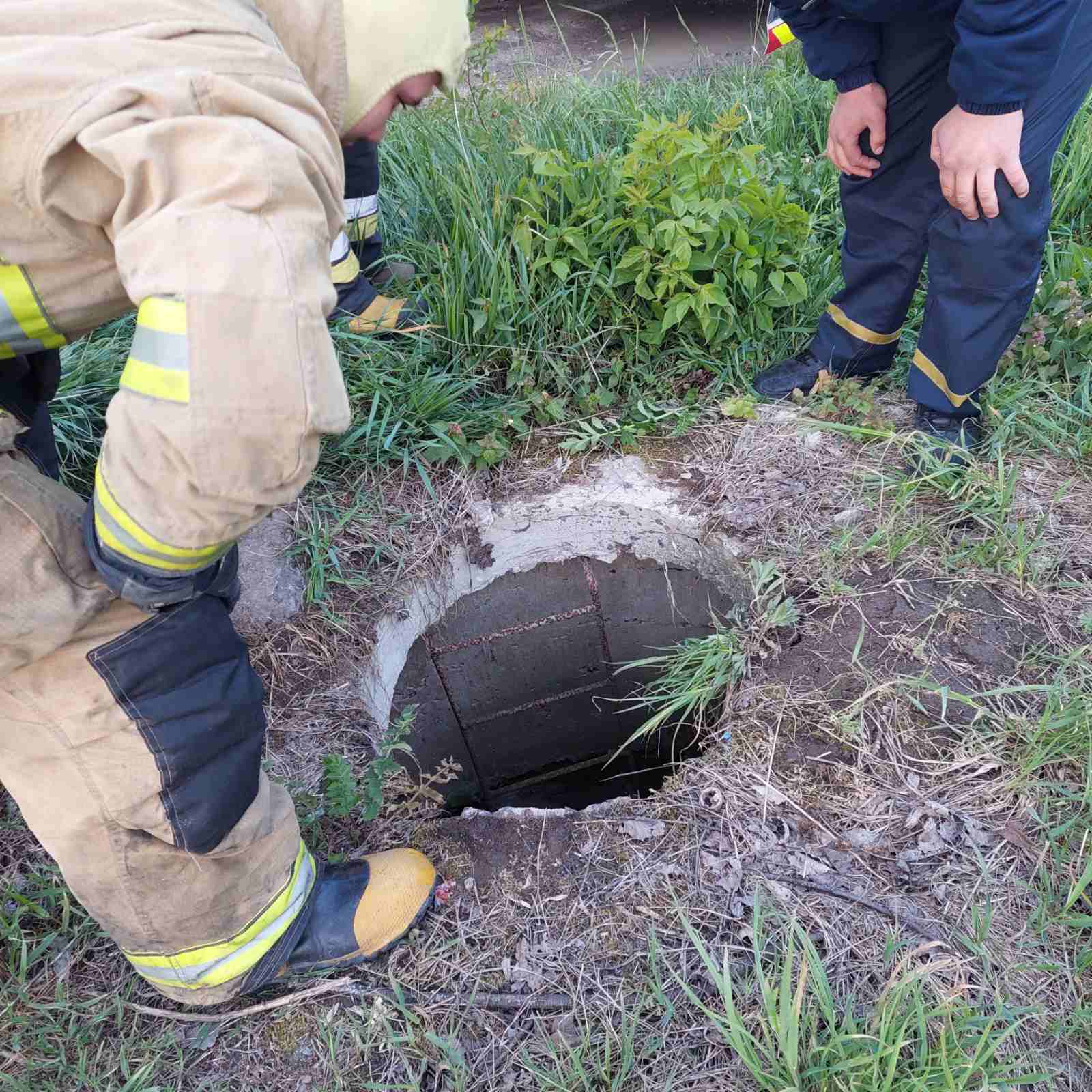 На Тернопільщині небайдужий чоловік допоміг врятувати від загибелі собаку (фото)