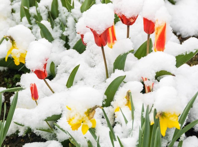 Синоптики шокували прогнозом погоди на найближчі дні