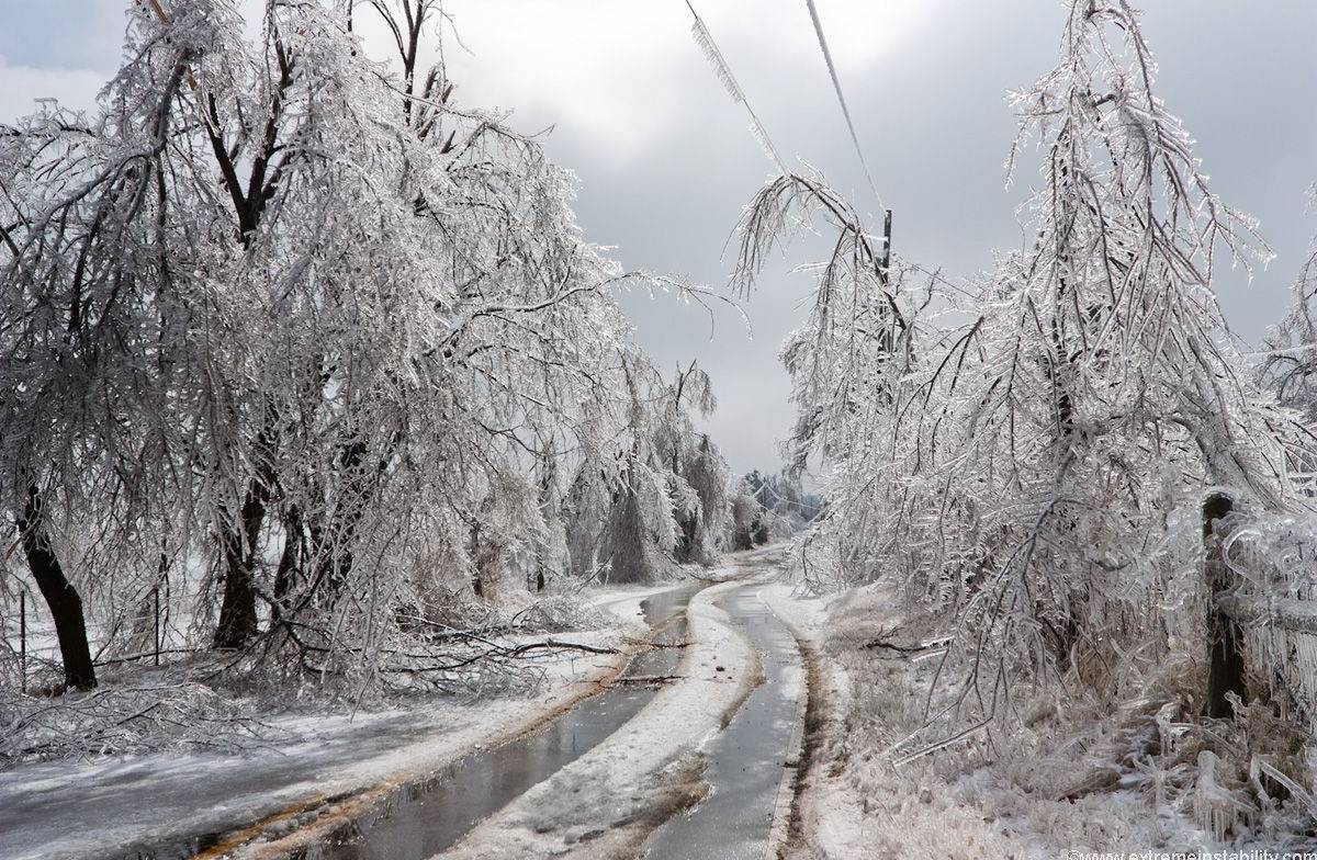 На Львівщині оголосили штормове попередження: якою буде погода завтра, 6 січня