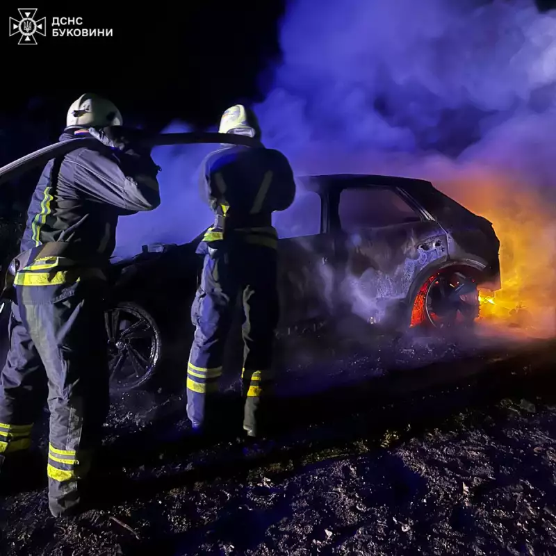 У Чернівецькій області під час руху загорівся автомобіль