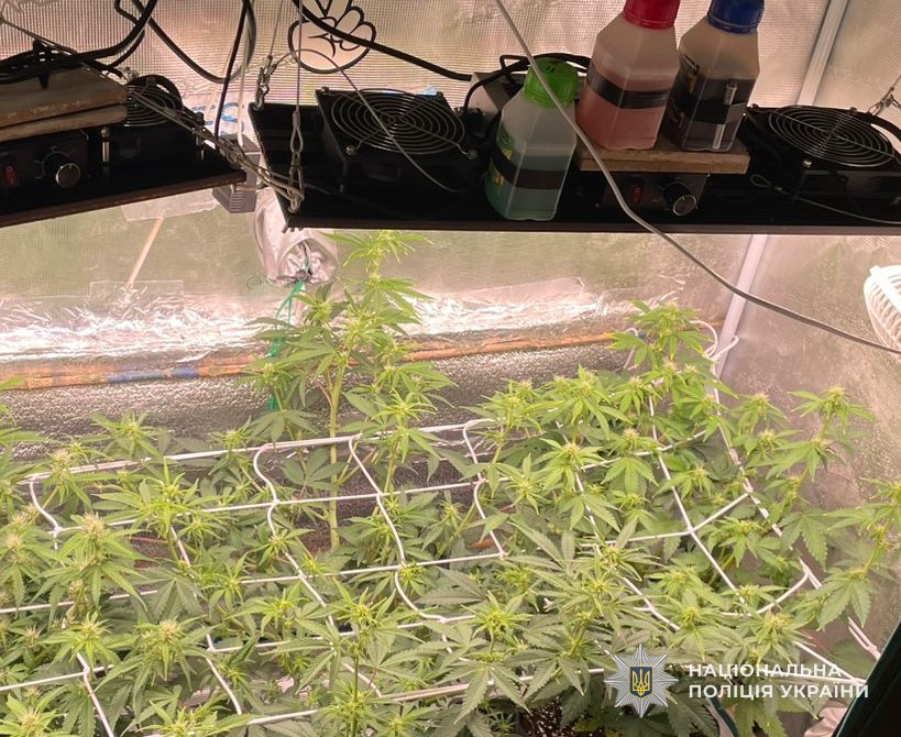 У Львові поліцейські затримали двох розповсюджувачів наркотиків (фото)