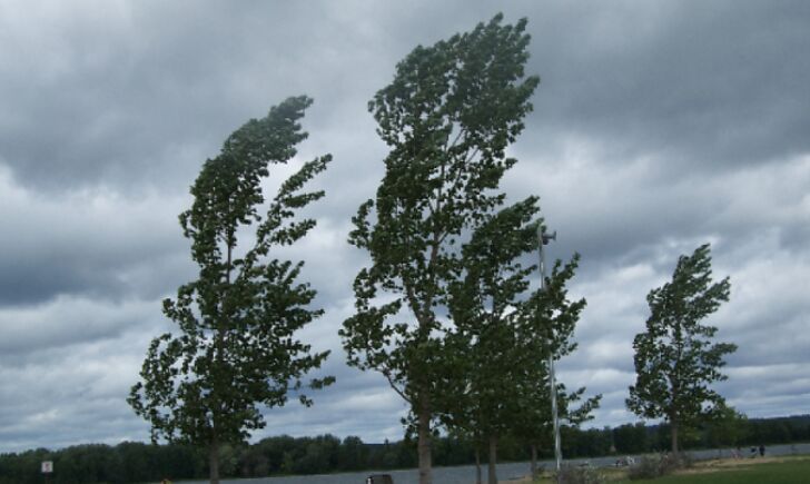 Мешканців Львівщини попереджають про небезпеку до кінця доби