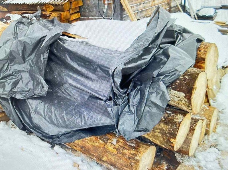 Нарубав смерек на 900 тисяч грн. На Львівщині «рубаці» загрожує до 7-ми років ув’язнення