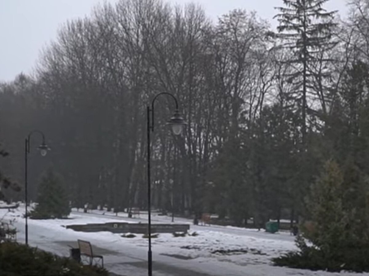 «Мінус» уночі, «плюс» удень: прогноз погоди на Львівщині на початок тижня