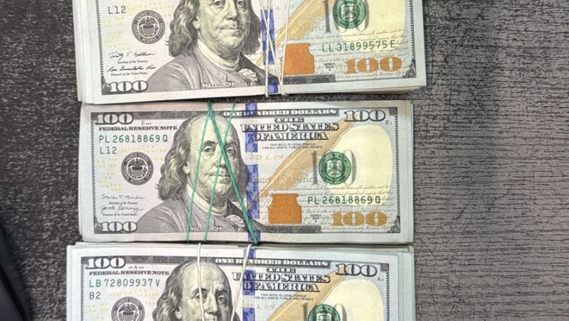 У мешканки Львівщини митники знайшли пів сотні тисяч доларів готівки