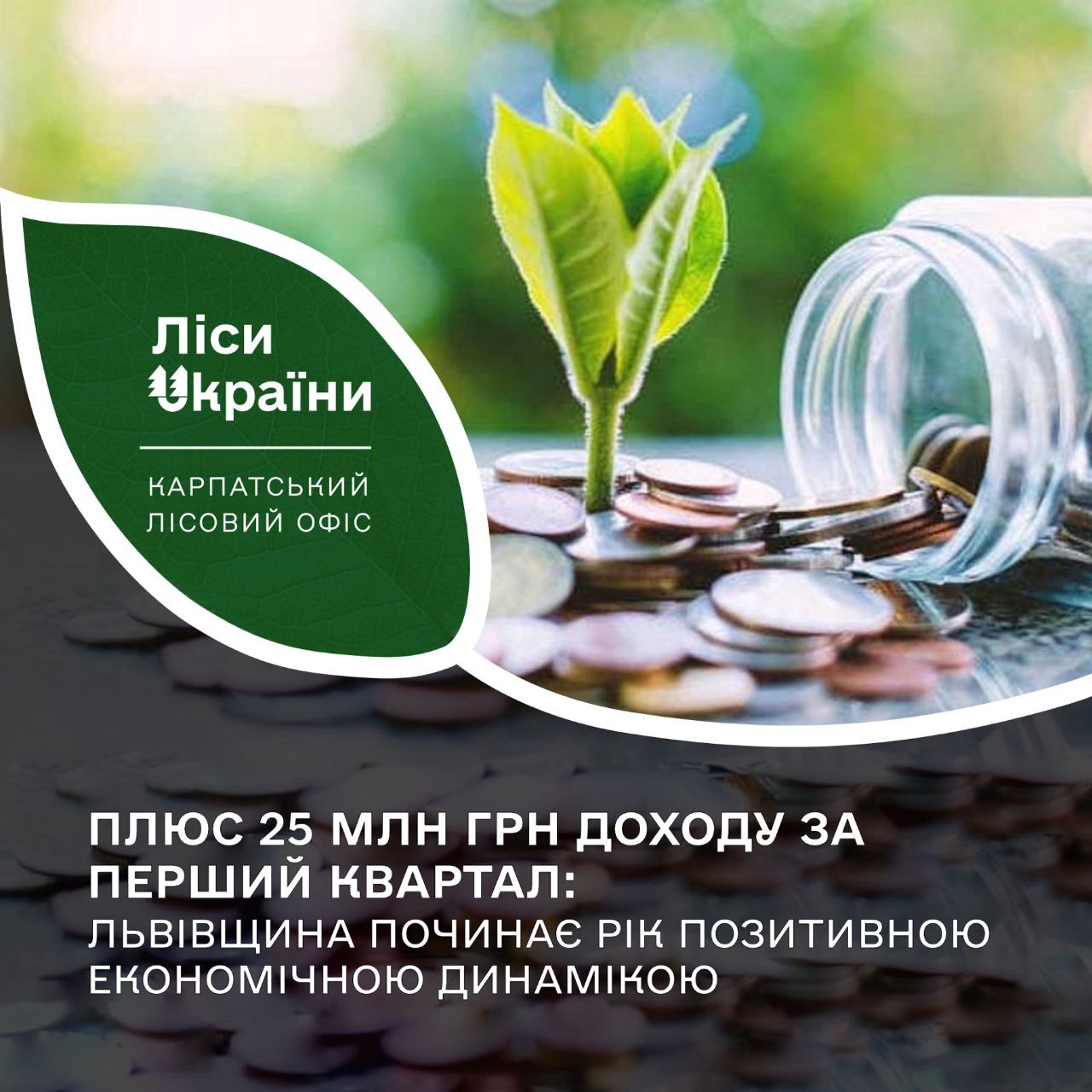 25 млн грн доходу за перший квартал: ДП "Ліси України" на Львівщині почало рік позитивною економічною динамікою