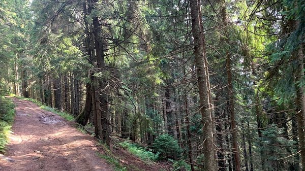 Сьогодні відбудеться засідання РНБО. Будуть садити