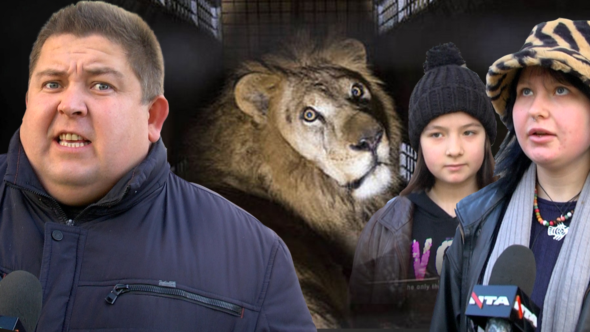 Чи підтримують українці заборону пересувних цирків з тваринами