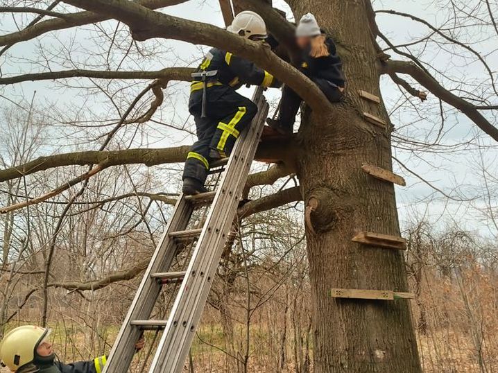 На Львівщині врятували дівчинку, яка застрягла на дереві