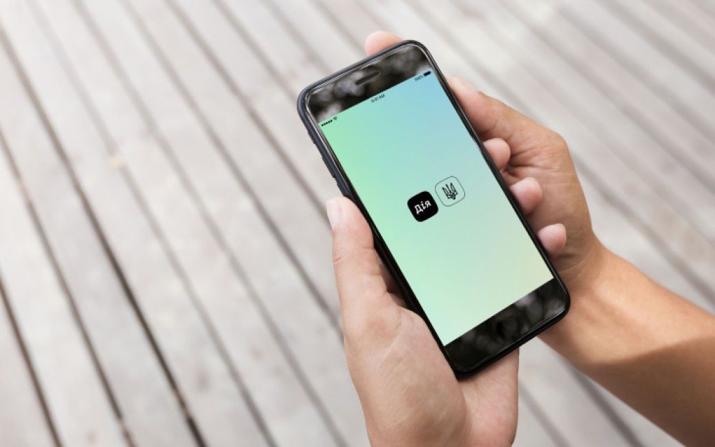 У «Дії» кілька днів  не працюватимуть дві послуги для водіїв