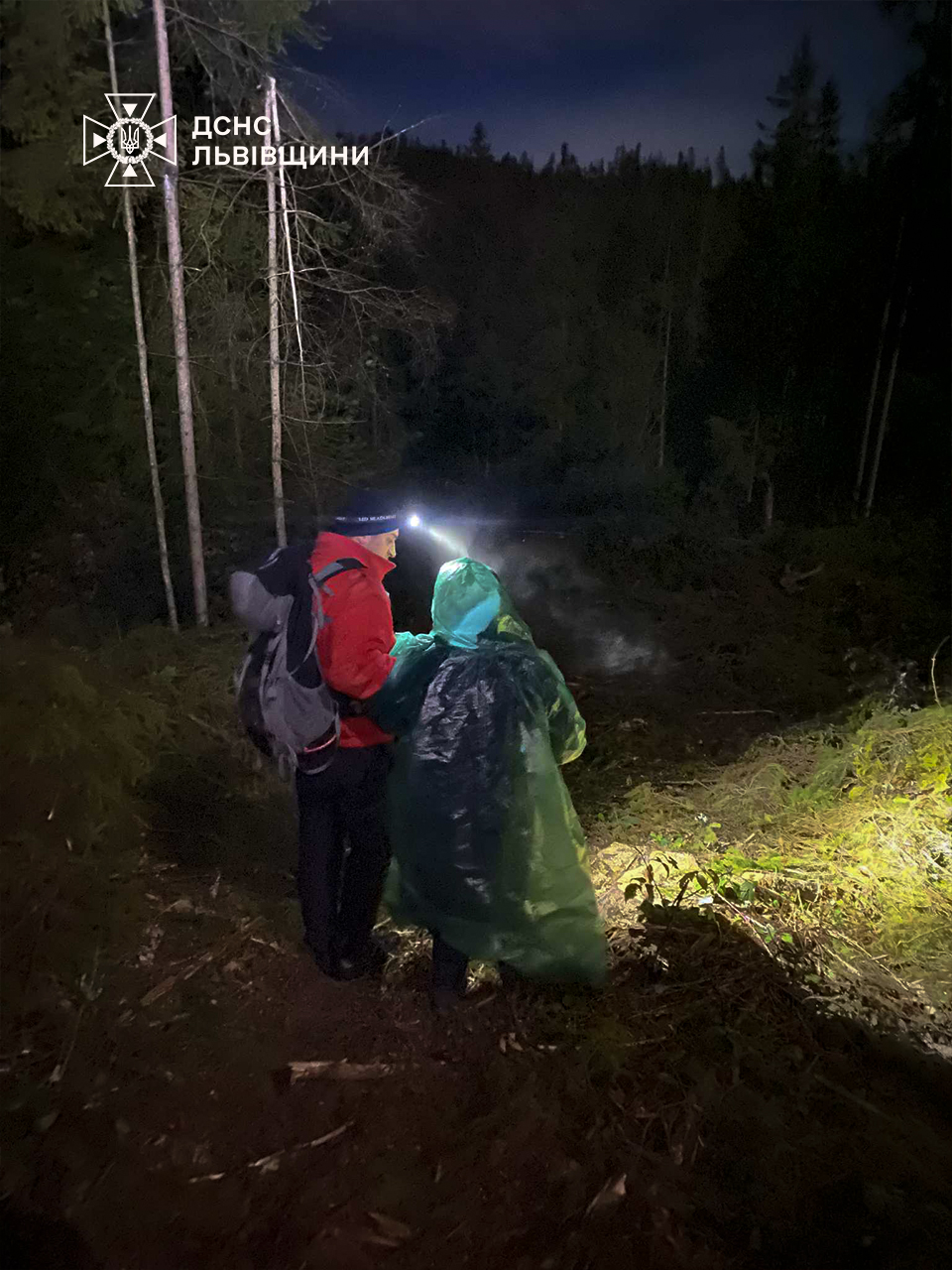 На Львівщині у лісі під час пошуку грибів заблукала жінка (фото)
