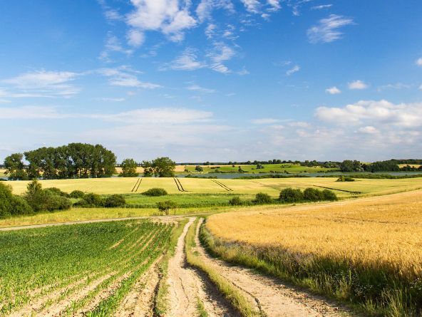 В Україні можуть дозволити вилучати землю під дороги