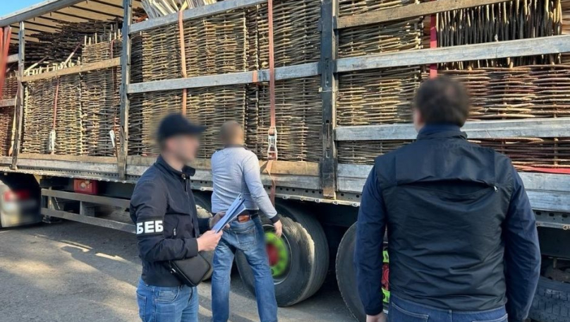 Контрабанда деревини за кордон: на Львівщині викрили 54-річного чоловіка