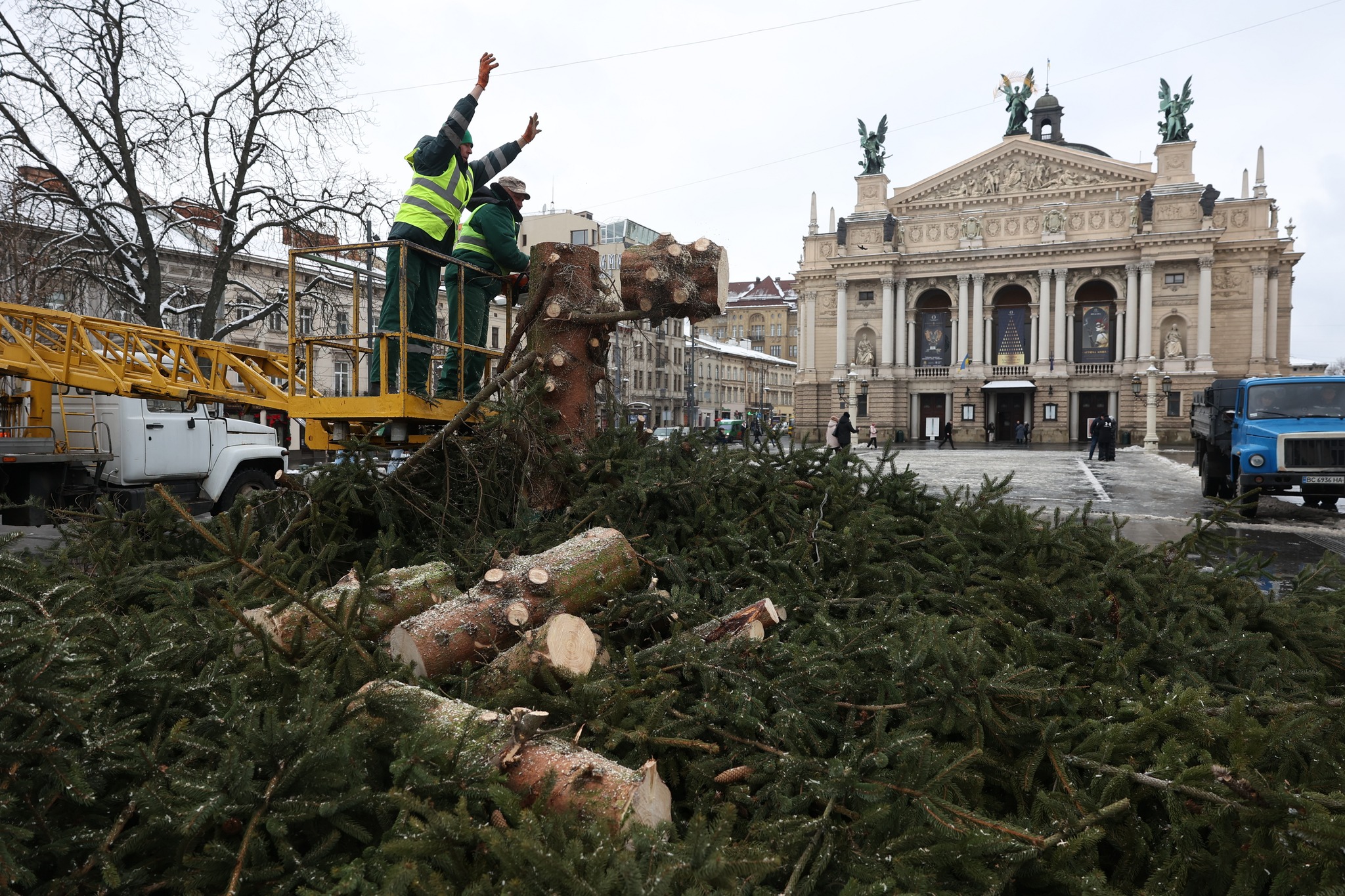 У Львові демонтували головну різдвяну ялинку: як використають дерево
