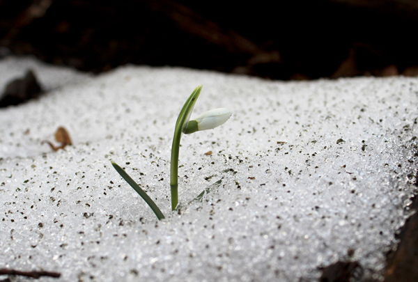 Тепло як навесні: лютий б'є температурні рекорди у Львові та області