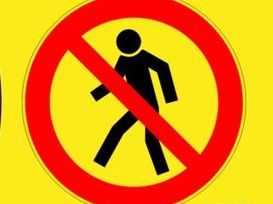 Введено заборону для населення на перебування у лісах Новояворівської громади