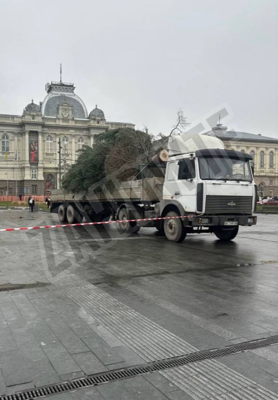 У Львові встановили різдвяну ялинку