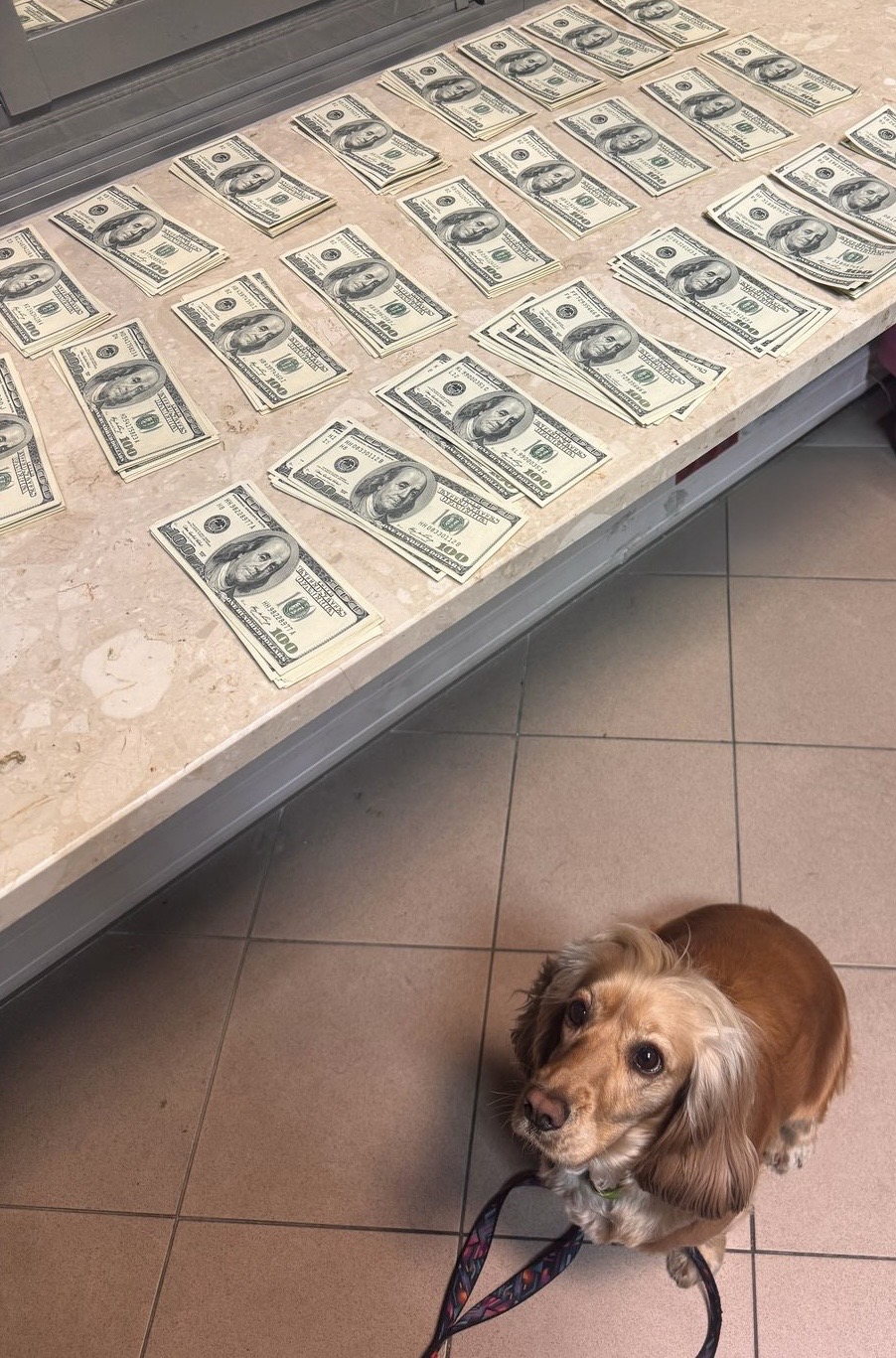 Львів’янин намагався вивезти за кордон 30 тисяч доларів: викрив службовий пес