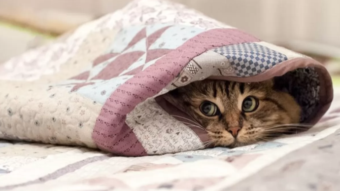 Циклон зі Скандинавії принесе в Україну різке похолодання: прогноз погоди на тиждень