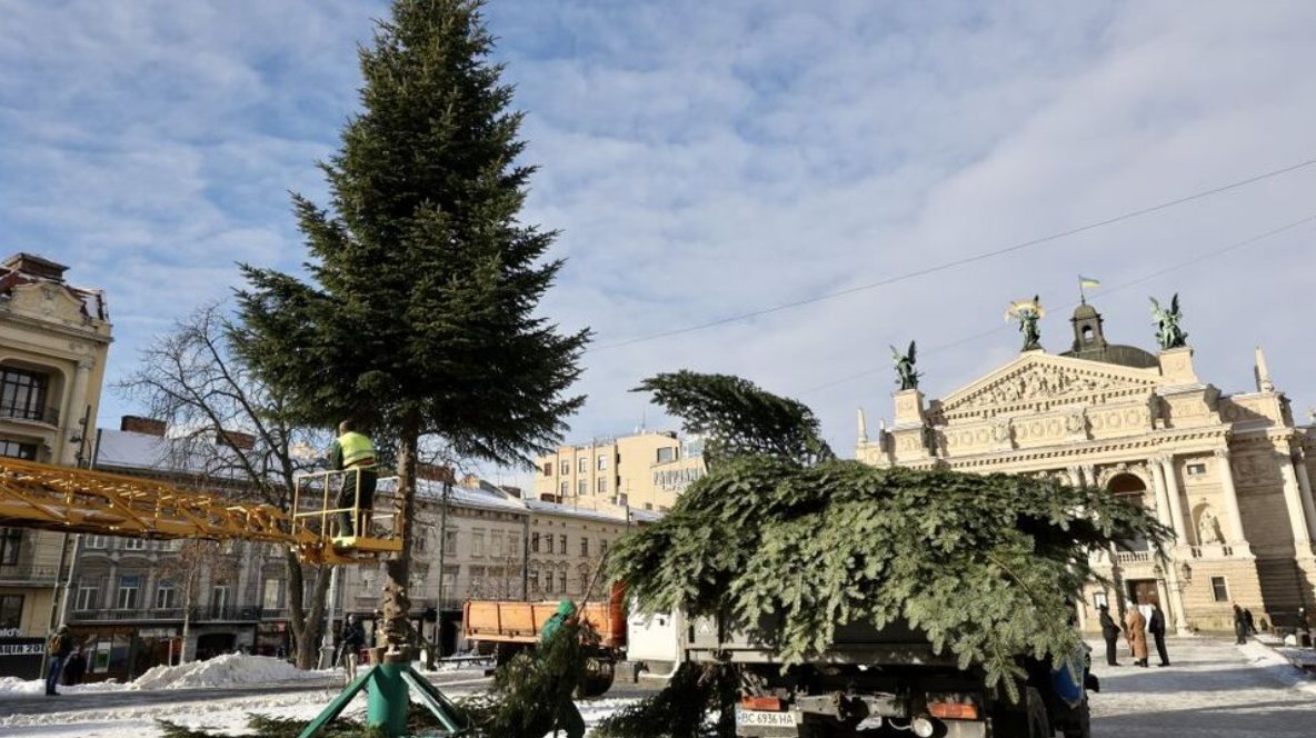 У Львові розібрали головну ялинку