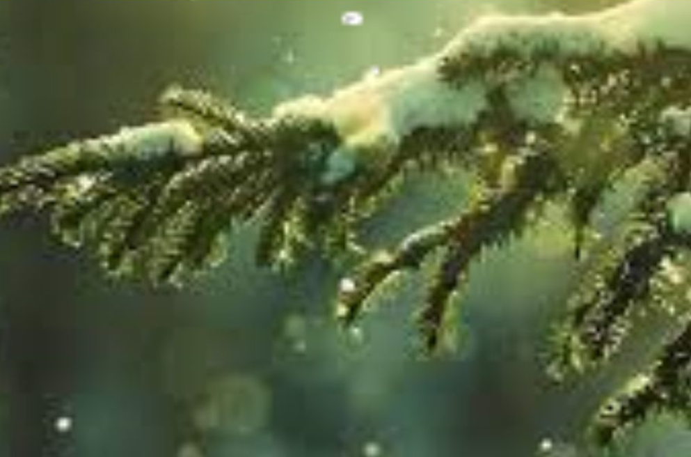 Погода на вихідні на Львівщині: Синоптики прогнозують вітер, дощі, ожеледицю