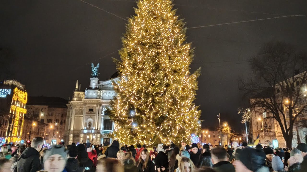 У Львові встановлять головну ялинку. Як вона виглядатиме